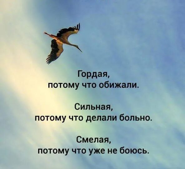 Гордая потому что обижали сильная. Гордая потому что. Гордая потому что обижали сильная потому. Картинка гордая потому что обижали сильная. Твоих я буду смелая