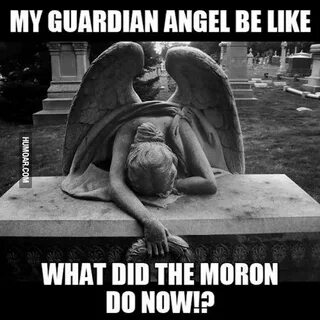 Angels memes
