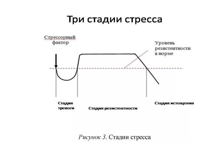 Стадии развития стресса Селье. Стадии развития стресса по Гансу Селье. Три фазы стресса Селье. Динамика развития стресса Ганса Селье.