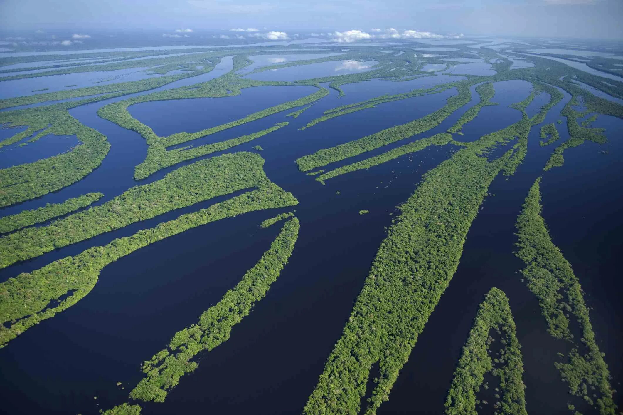 Приток крупнейшей реки северной америки. Амазония река Амазонка. Река Амазонка в Бразилии. Река Рио Негро. Южная Америка река Рио Негро.