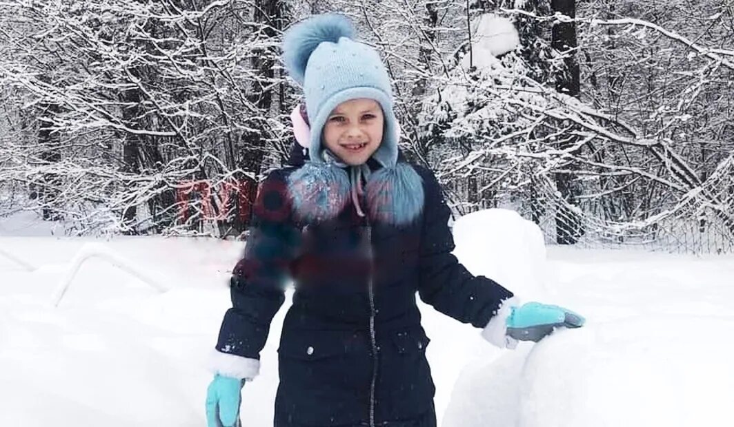 7 летняя девочка собака. Девочку 7 лет растерзали собаки. 7 летняя девочка собака. 7 летняя девочка собака. 22.