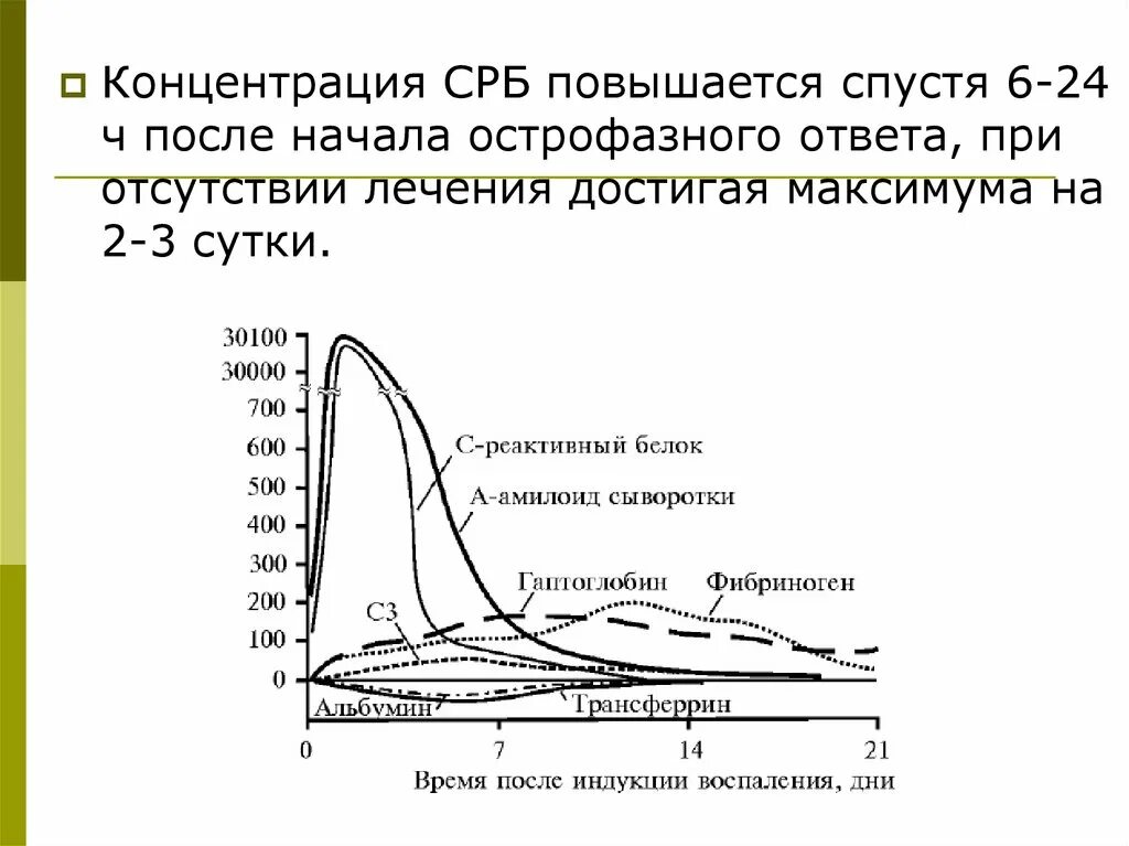 Концентрация СРБ. С-реактивный белок. С-реактивный белок (СРБ). Концентрация с-реактивного белка.