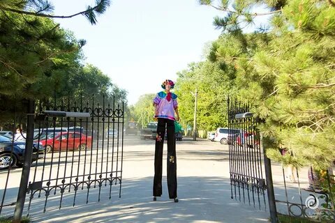 Сказка каменск шахтинский