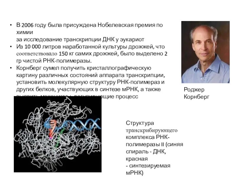 Уотсон днк. История открытия структуры днк. Криком структура днк. Корнберг днк полимераза. Нобелевская премия за открытие днк.