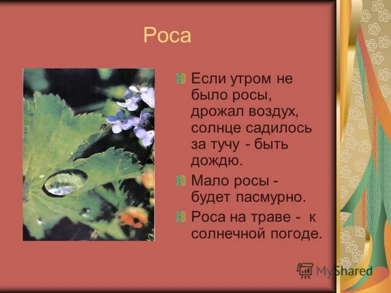 Текст песен утренняя роса. Приметы про росу. Пословицы о росе. Загадка про росу. Примета роса утром на траве.