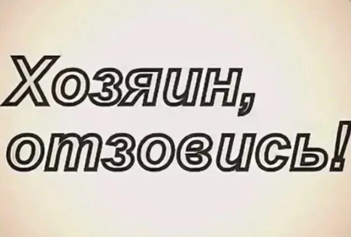 Хозяин отзовись. Ищу хозяина. Хозяин отзовись картинки. Найдена собака хозяин отзовись. Тем временем пожилой хозяин