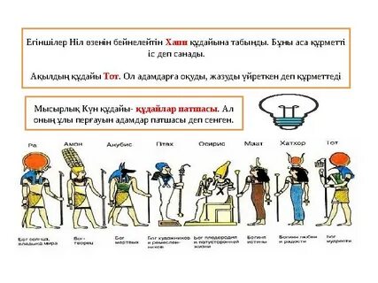 Жігіт қиярмен, самотаякпен және сәбізмен есекке сиып кетеді.