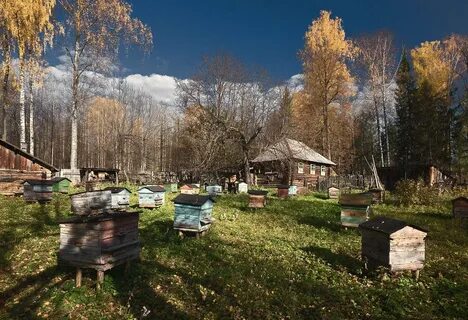 Пчельник