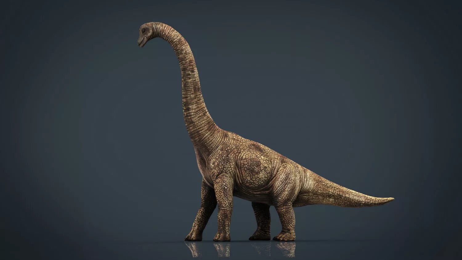 Длинношеий динозавр. Брахиозавр динозавр. Брахиозавр 3 д. Брахиозавр динозавр Диплодок. Зауропод и Диплодок.