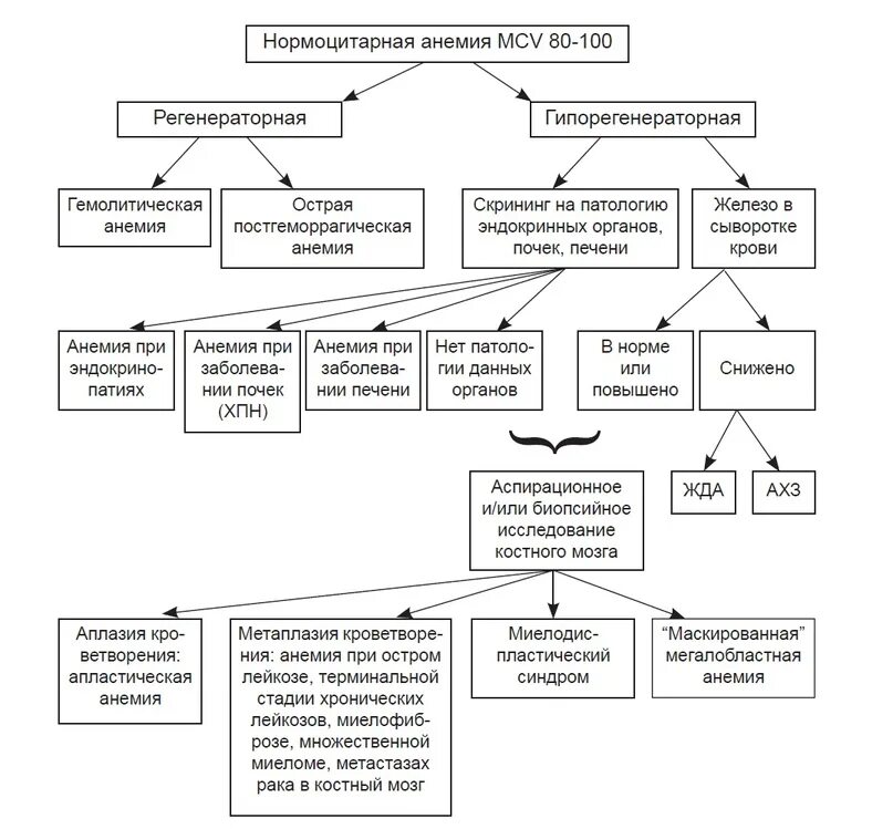 Тесты анемия у детей. Нормоцитарная нормохромная анемия схема. Схема дифференциальной диагностики анемий. Алгоритм диагностики анемии. Диагностический алгоритм диагностики анемии.