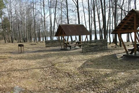 Тропаревский парк шашлыки