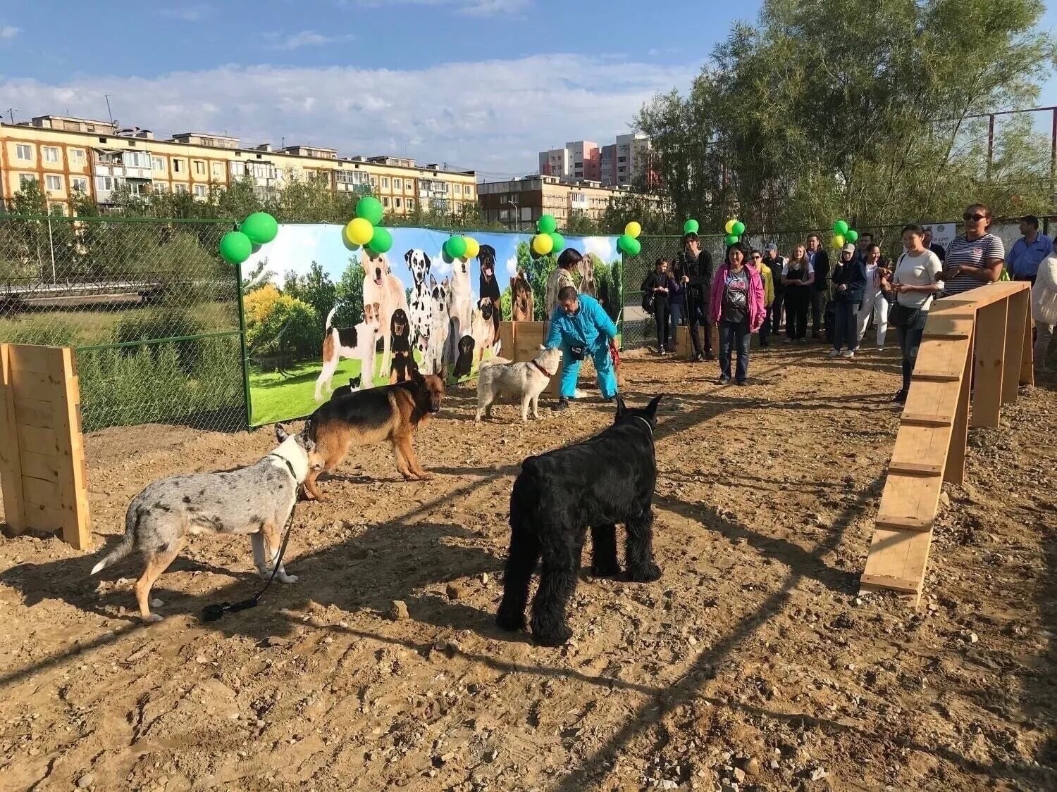 Собачья площадка. Дрессировочная площадка для собак в туле в пролетарском районе. площадка для собак. выгульные площадки для собак.