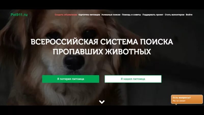 Pet 911. Всероссийская система поиска пропавших животных. Триста питомцев. Pet911 потерянные собаки Пермь.