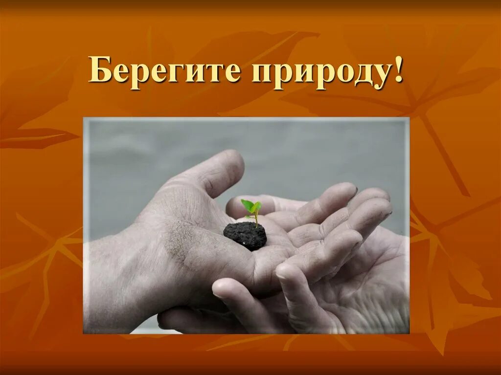 Беречь содержание
