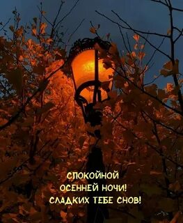 Открытка спокойной ночи женщине осенняя