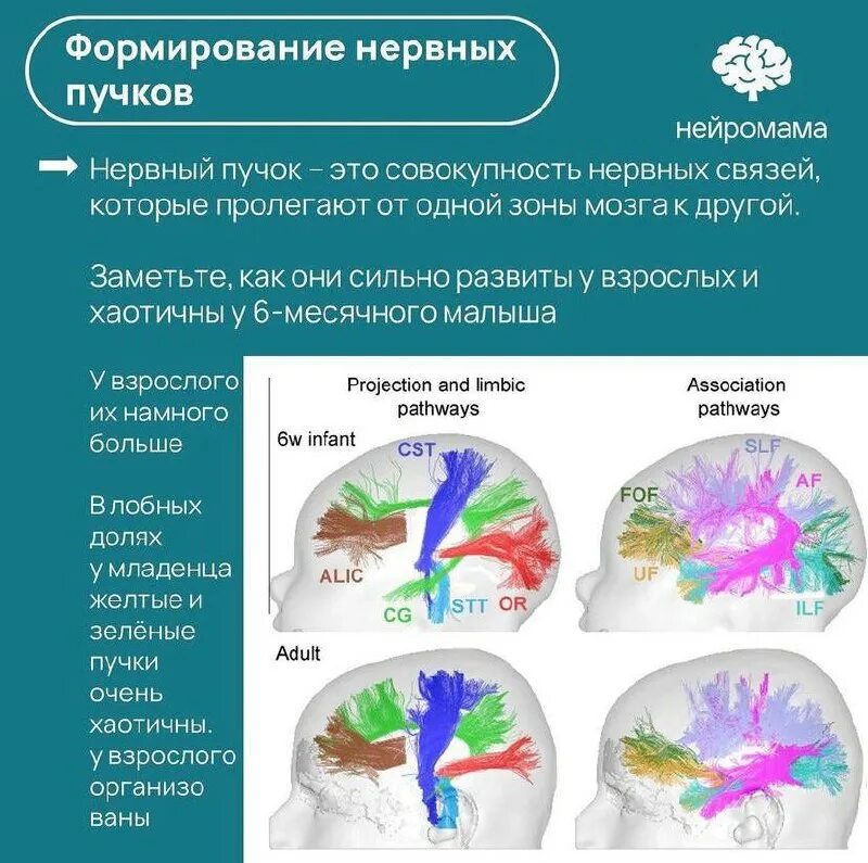 Нейромама. Нейромама