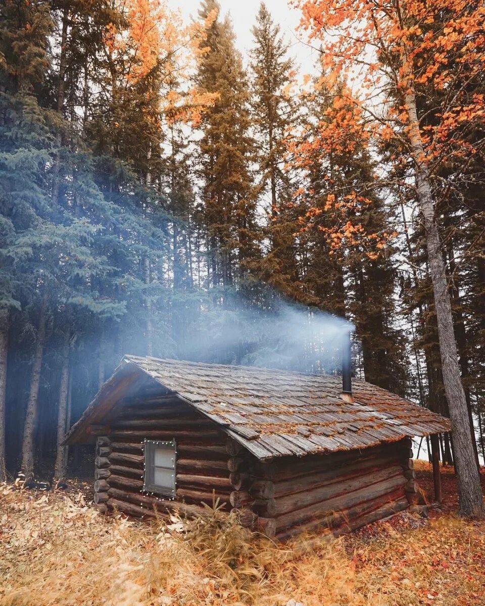 Деревня варлов лес карелия. Дом в осеннем лесу. Русский пейзаж с избой. Заимка тайга избушка сибирь внутри. Домик в осеннем лесу.