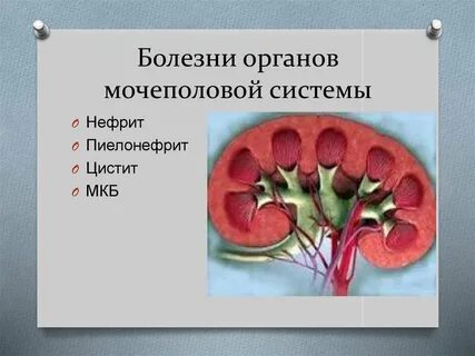 Болезни мочеполовой системы симптомы