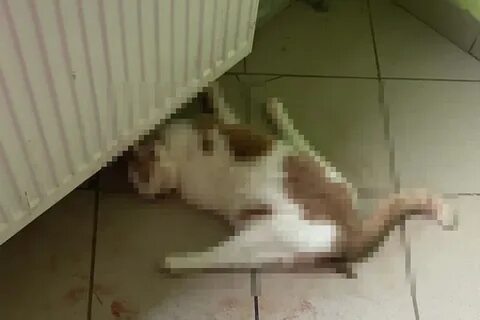 Убив этаж 2