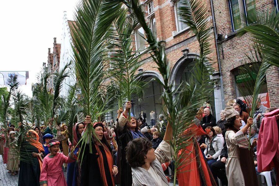 Вербное воскресенье в Иерусалиме. Католическое «пальмовое» воскресенье (Palm Sunday). Вход Господень в Иерусалим пальмовые ветви. Пальмовые ветви на Вербное воскресенье. Вербное воскресение иерусалим