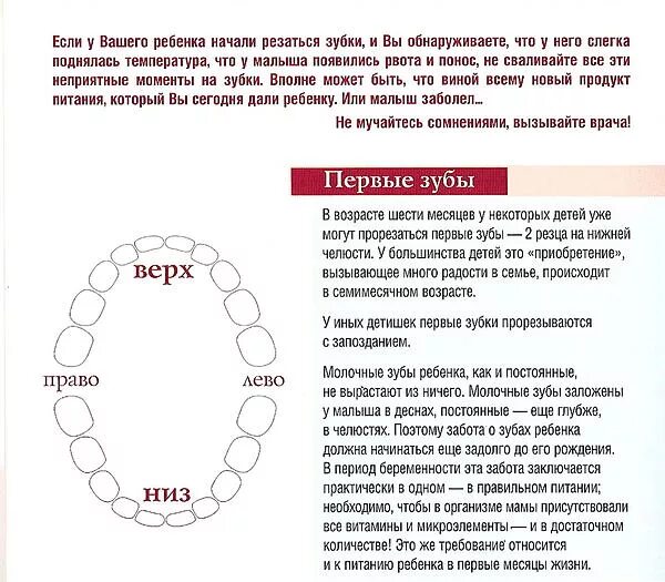 Во сколько месяцев появляются первые. Когда у детей начинают резаться зубки. Во сколько месяцев у ребенка начинают резаться зубки. Этапы прорезывания зубов у детей. Во сколько месяцев режутся первые зубы.