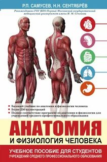 Физиология человека краткий курс