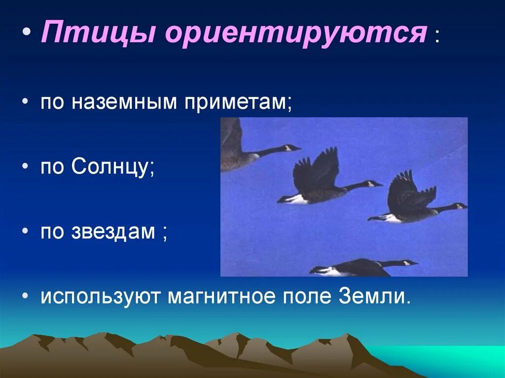 Жизнь мигрирующих птиц