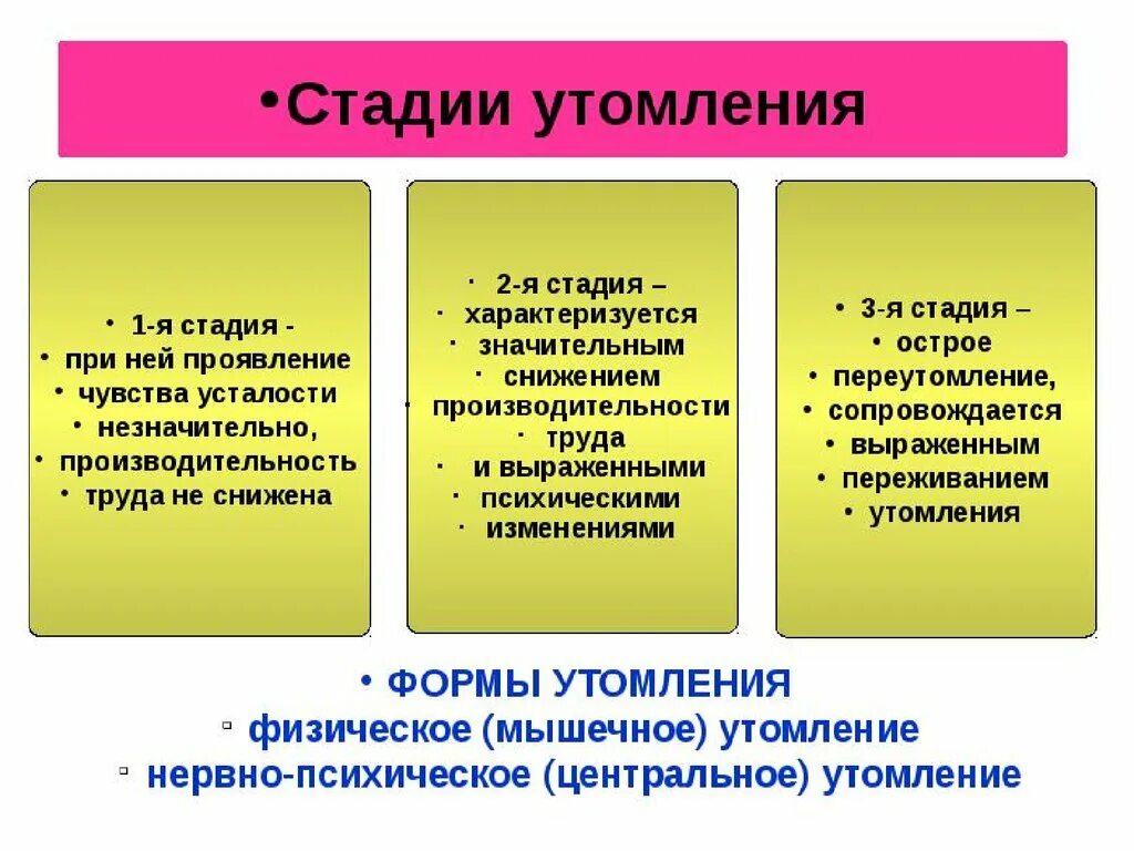 Что относится к признакам утомления. Развитие утомления. Основные причины утомления. Этапы процесса переутомления. Утомление при физической и умственной.