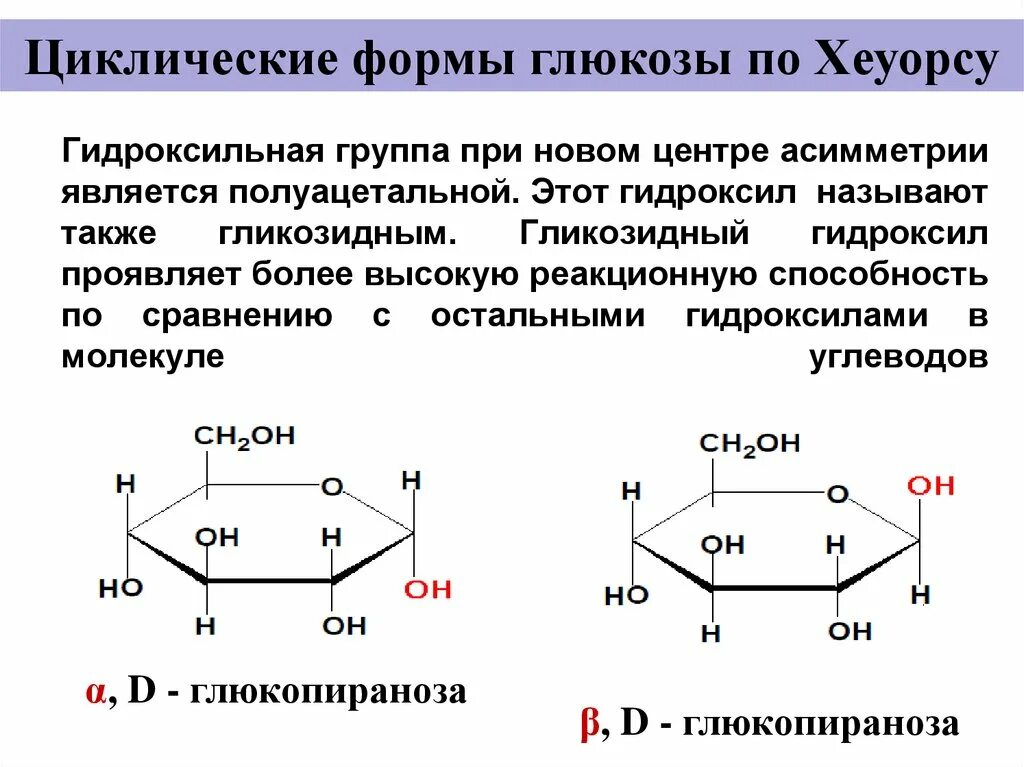 Циклическая молекула глюкозы. Полуацетальная группа моносахаридов. Полуацетальный гликозидный гидроксил. Глюкозидгный Гидрокстил. Реакционная способность гликозидного гидроксила.