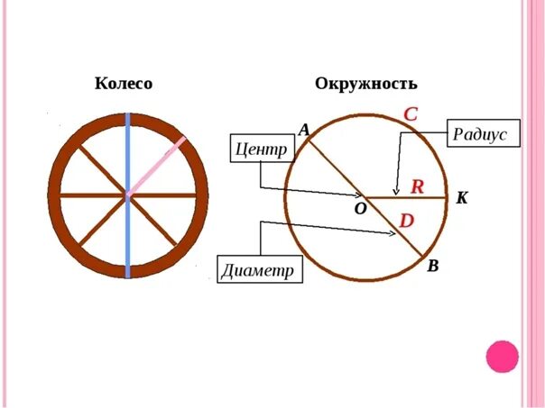 Колесо круг или окружность. Радиус и диаметр колеса. Диаметр окружности. Окружность и круг колесо. Диаметр и радиус шины.
