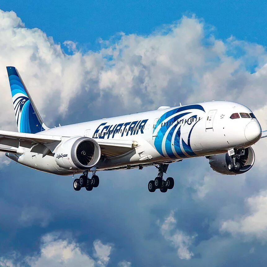 Египт Эйр авиакомпания. EGYPTAIR Boeing 787. Boeing 787-9 EGYPTAIR. Самолёт EGYPTAIR 787. Egyptair купить билет