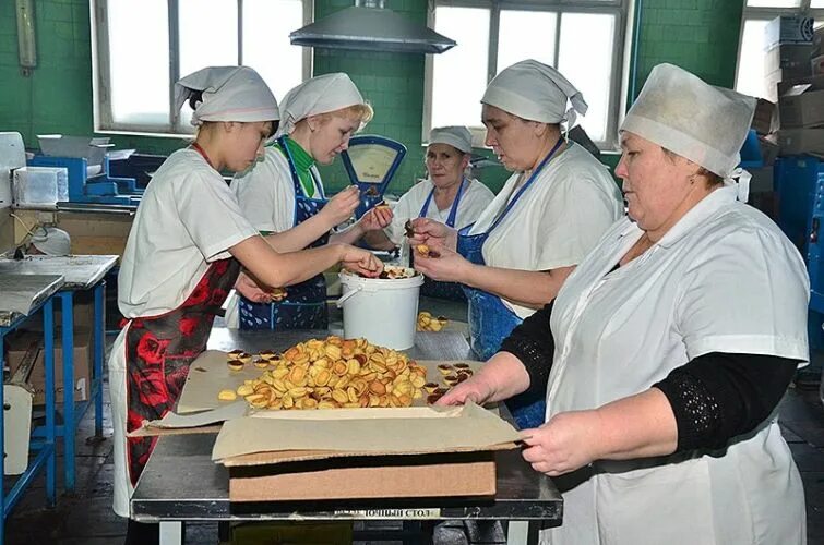 хлеб завод работа. производство хлеба. хлебозавод 6 краснодар хлеб. укладка и упаковка хлебобулочных изделий. хлебобулочная промышленность.