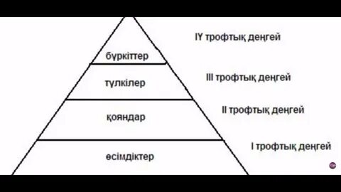 Қара адамның үлкен әтеш қызды трахает