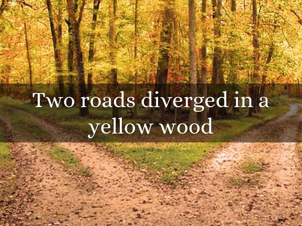 I can be yellow. Two roads diverged in a yellow wood. роберт фрост другая дорога. неизбежная дорога роберт фрост. the road not taken.