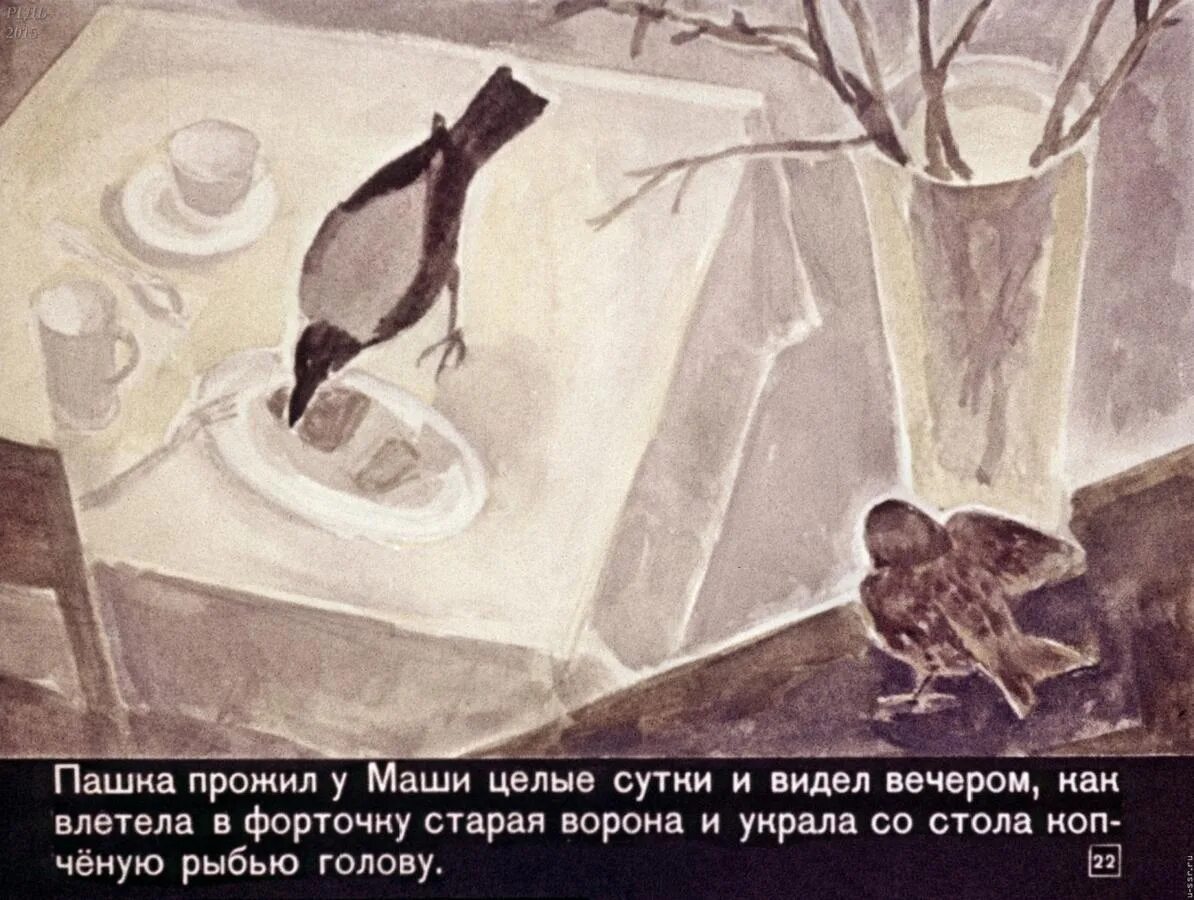 План по рассказу паустовского растрепанный воробей. Вопросы к тексту растрепанный воробей 3 класс. Вопросы к тексту растрепанный воробей 3 класс. Растрёпанный воробей тест. План пересказа рассказа растрепанный воробей 3 класс.