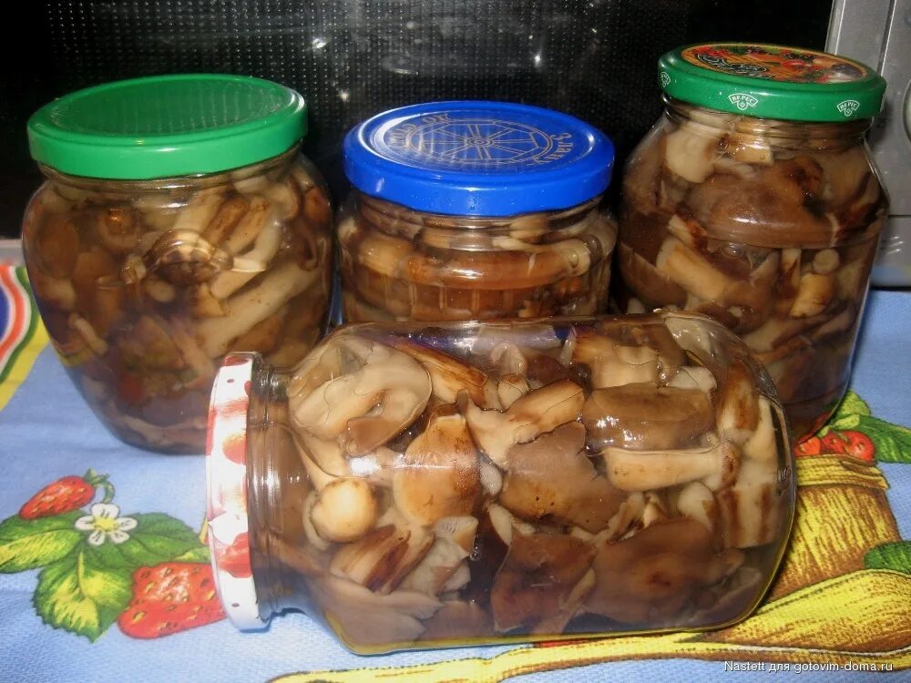 Замариновать белые грибы быстро и вкусно. Маринованные белые грибы. грибы белые солёные. маринованные польские грибы. маринованный польский гриб.