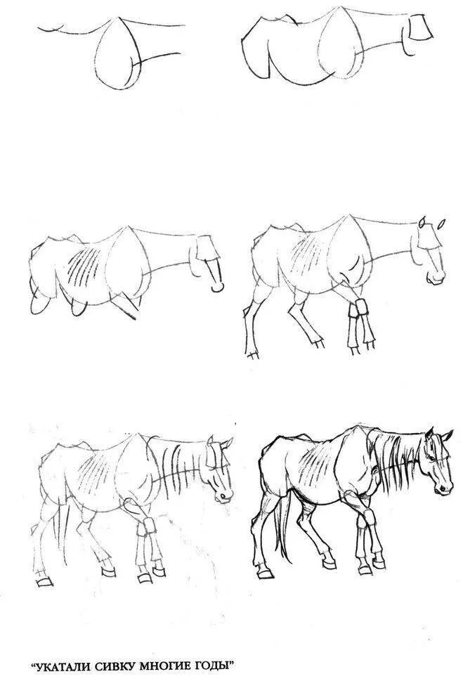 Лошадь рисунок карандашом. Лошадь рисунок поэтапно. Пошаговое рисование лошади. Поэтапный рисунок лошади.