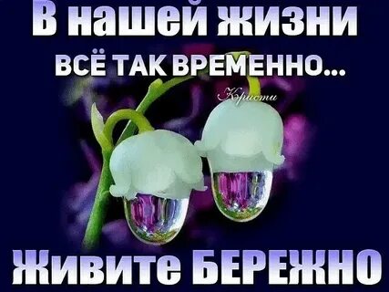 Все в этой жизни не случайно