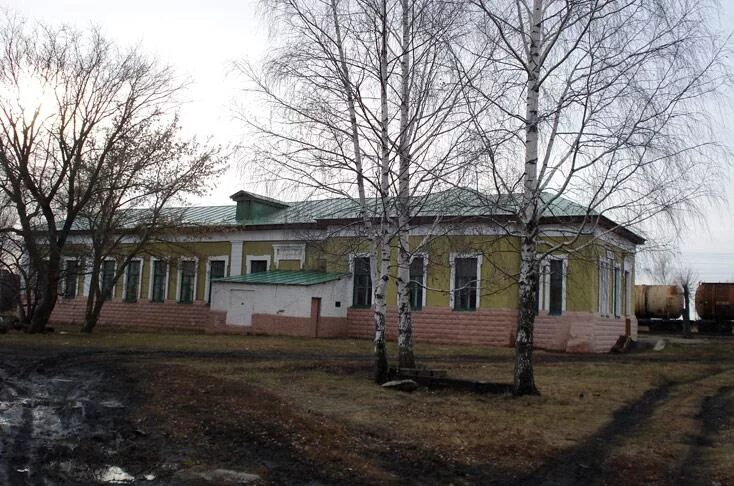 Рамзай пензенской. Рамзай пензенская область. Горизонт пенза рамзай. Село рамзай пензенской. Рамзай школа загоскина.