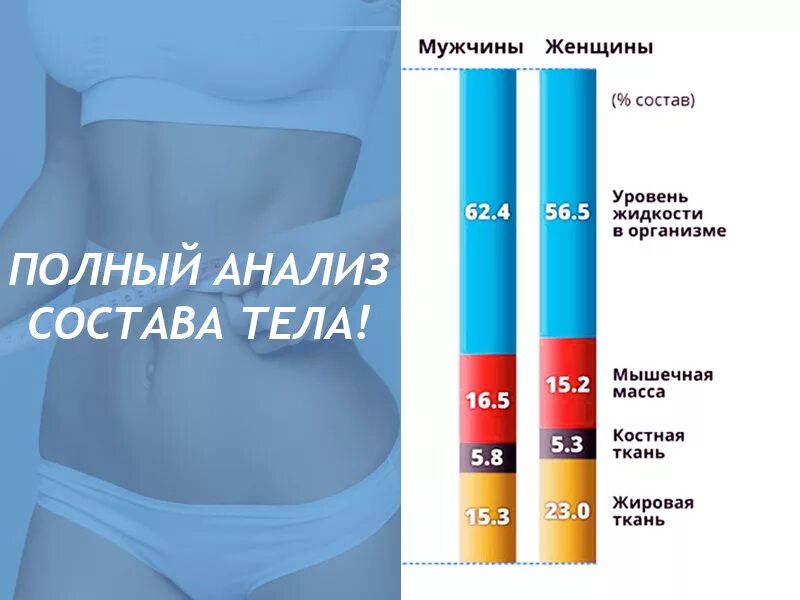 Состав тела. Исследование состава тела. Состав тела биоимпедансный. Процентное соотношение воды, мышечной и жировой ткани.