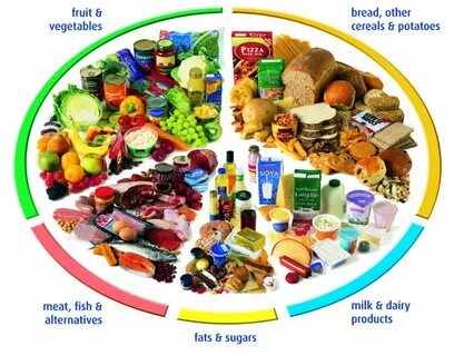 Dairy meat fruit vegetable