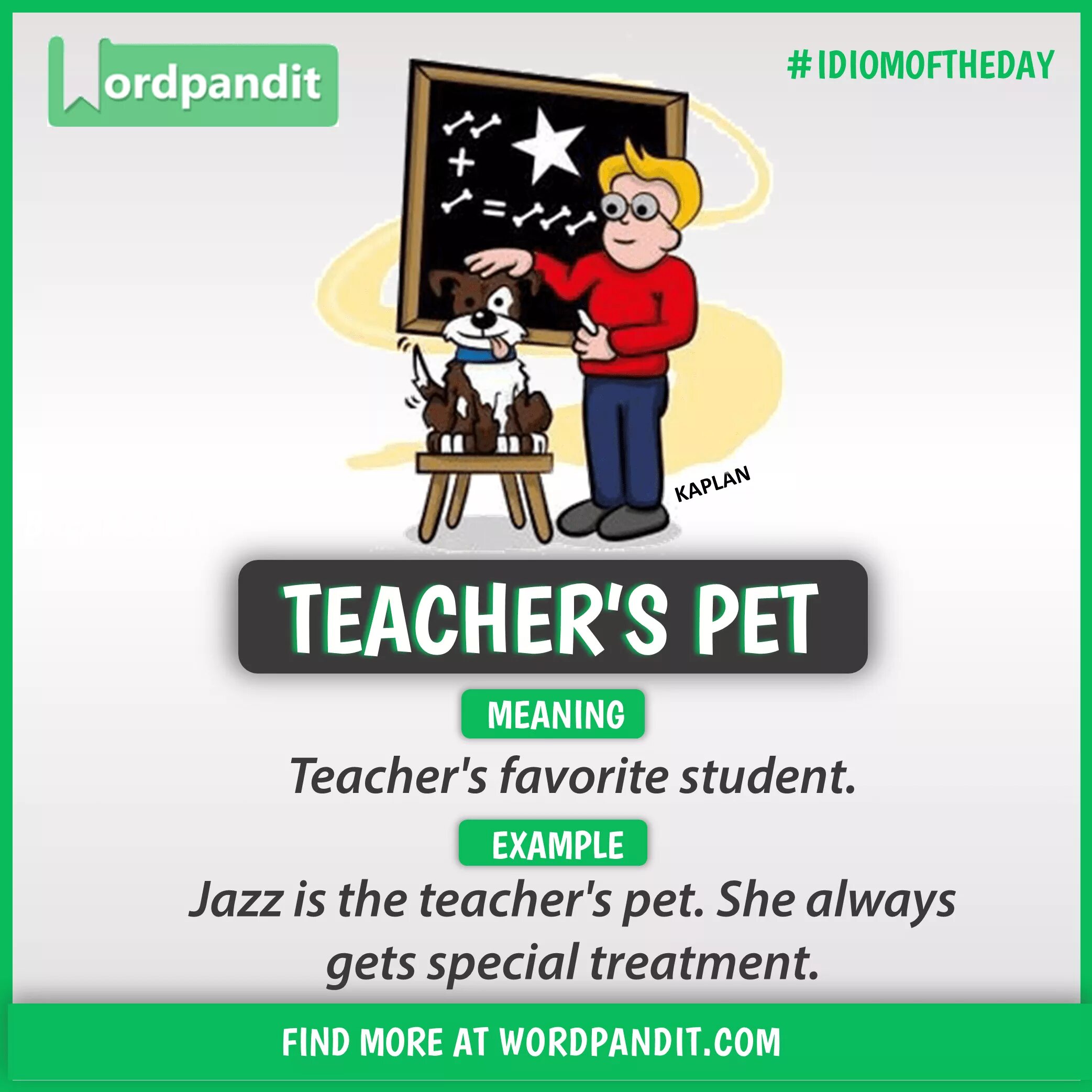 Teacher's Pet idiom. Idioms about teachers. Teachers Pet перевод. Party Pet идиома.