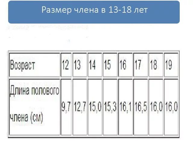 Сколько сантиметров бывает. Какой размер члена должен быть в 13 лет. Какой размер пениса должен быть в 13 лет. Норма длины полового органа у мальчиков.