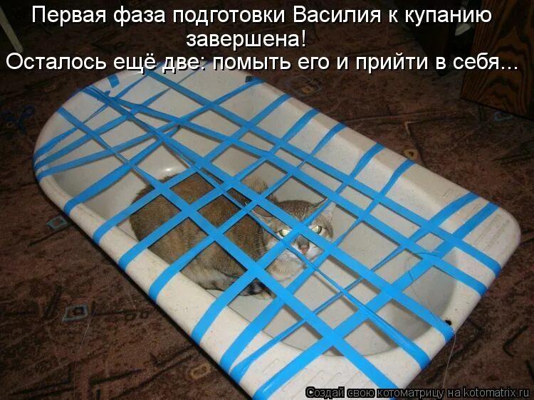 Небо в клеточку тольятти. Небо в клетку фото. Небо в клеточку в полосочку. Небо в решетку. Небо через решетку.