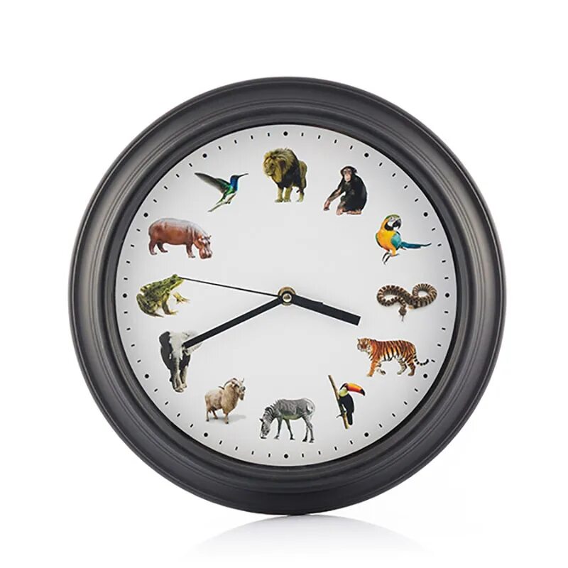 Часы про животных. Часы с животными. Часы настенные со звуком. Часы animal. Часы со зверями.