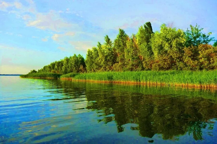 Матырское водохранилище липецк пляж. Матырское водохранилище липецкаякая. Матырское водохранилище липецк. Матырское водохранилище липецк пляж. Матырское водохранилище липецк.