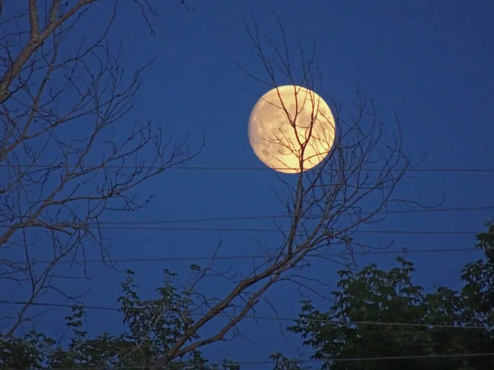 красивая луна. суперлуние 1948. красивая луна. мощнейшее полнолуние. полнолуние.