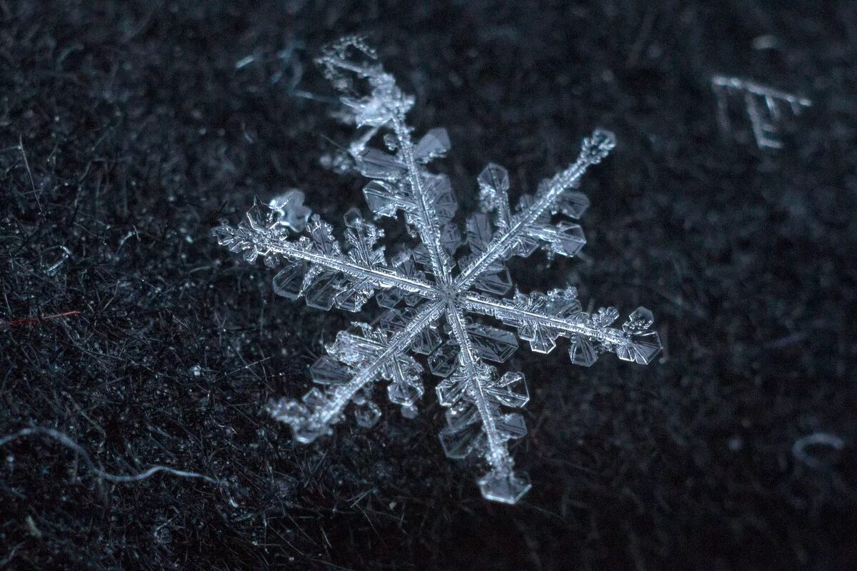 тающая снежинка. тающая снежинка. тающая снежинка. снежинки снегопад. тающие снежинки.