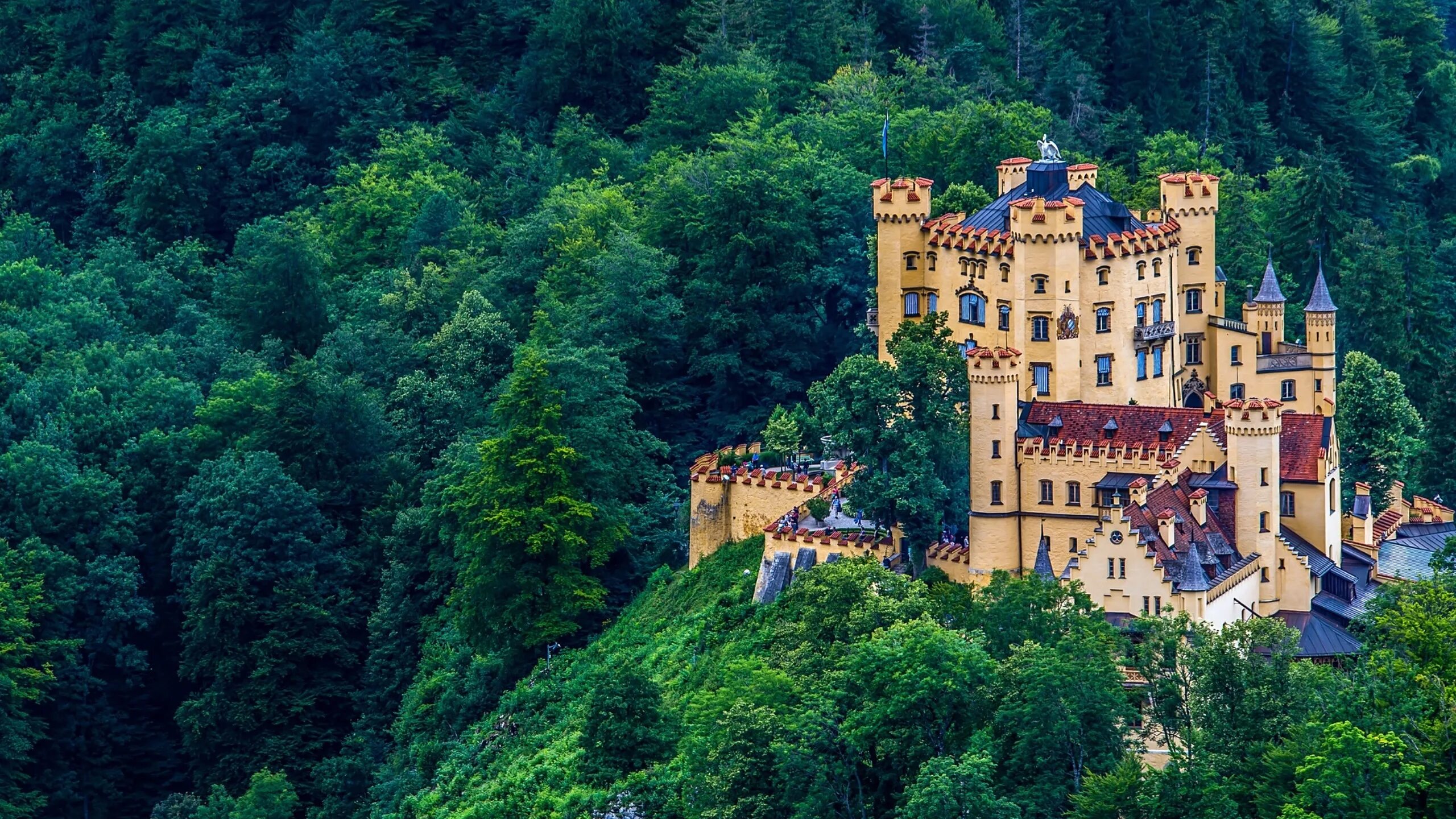 Forest castle. Фэнтези пейзажи. Замок эльц германия в тумане. Замок около озера. Средневековая дорога.