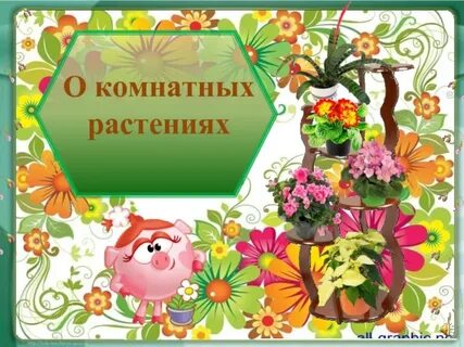 Как узнать растения презентация для дошкольников